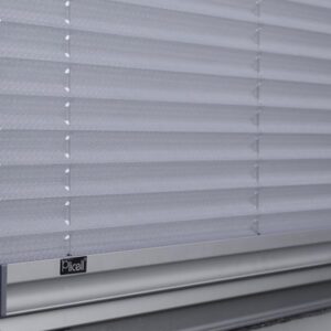 plicell_1